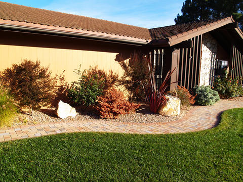 Modern Landscape with multicolored pavers