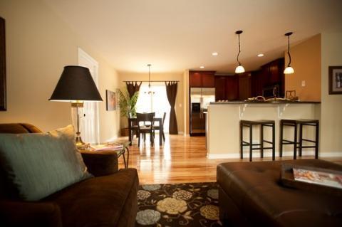 Transitional Family Room with dark brown and blue floral area rug