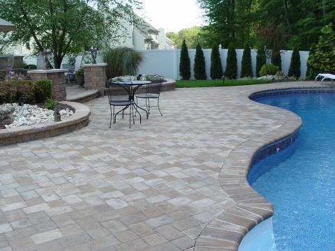 Traditional Pool with tall slender bushes lining fence