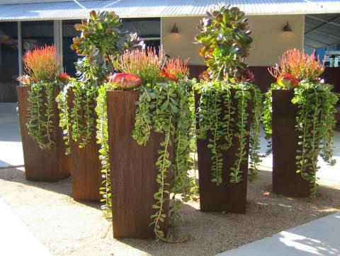 Contemporary Landscape with low maintenance yard