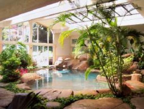 Transitional Sunroom with natural rock pool surround