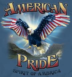 Image result for American Pride