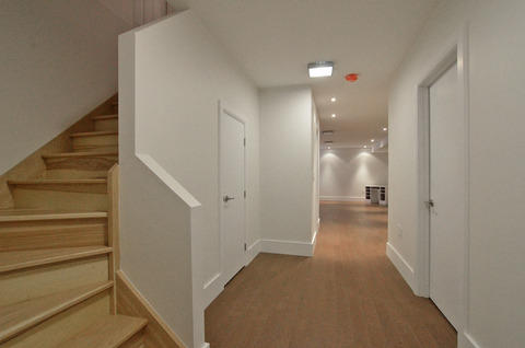 Modern Basement with slab panel doors
