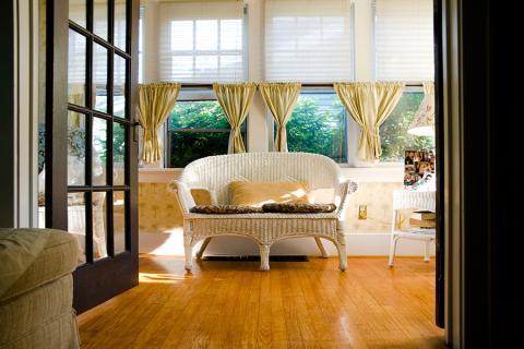 Traditional Sunroom with palm trees on wallpaper