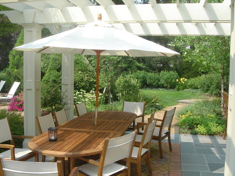 Traditional Patio with tall overgrown bushes in back yard