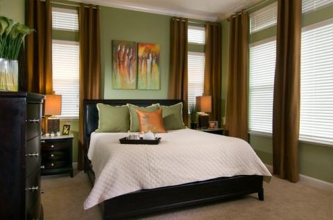 Traditional Bedroom with beige carpeted flooring