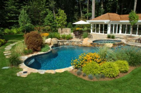 Transitional Pool with pool with plants and stone surround