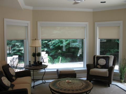 Transitional Sunroom with black metal base bed side reading lamp