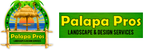 Palapa Pros - Landscape & Design Services