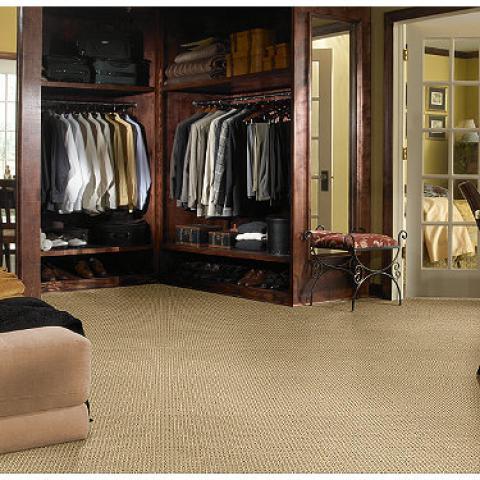 Traditional Closet with closet rods and shoe rack