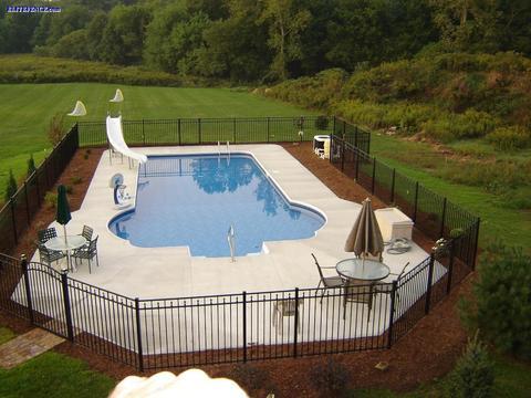 Contemporary Pool with wrought iron fence