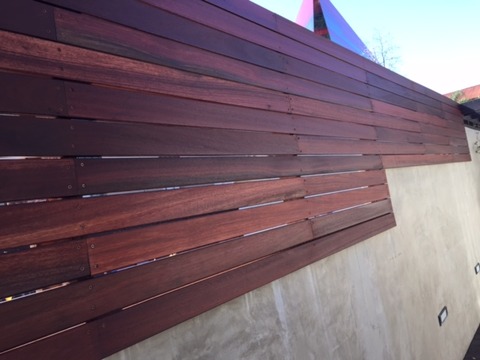 Modern Landscape with cement base wall