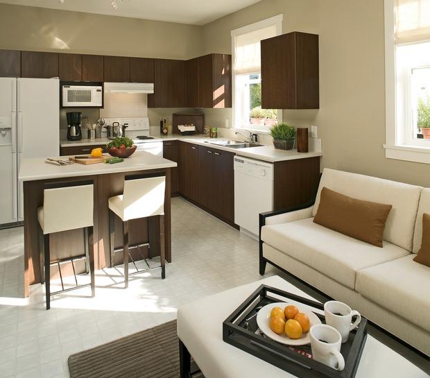 Modern Kitchen with plastic laminate countertop