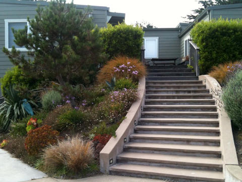 Modern Landscape with hillside floral landscaping