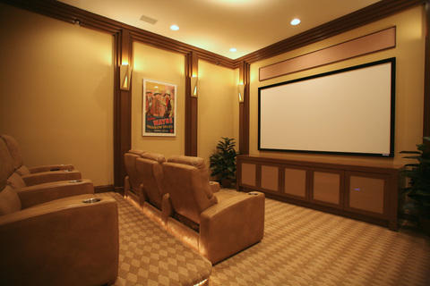 Traditional Home Theater with argyle wall to wall carpeting