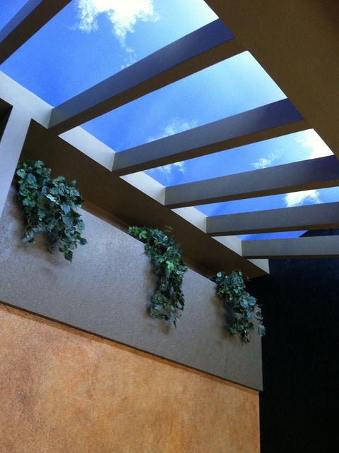 Modern Sunroom with decorative paint