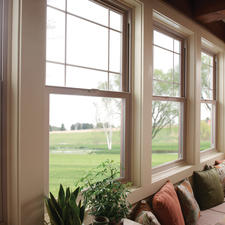 Transitional Sunroom with single hung window