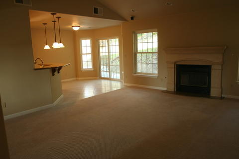 Transitional Dining Room with cast concrete fireplace surround