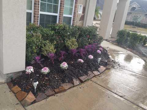 Transitional Landscape with automatic irrigation system