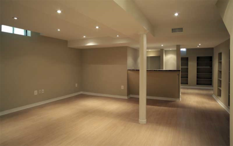 Traditional Basement with light hardwood flooring
