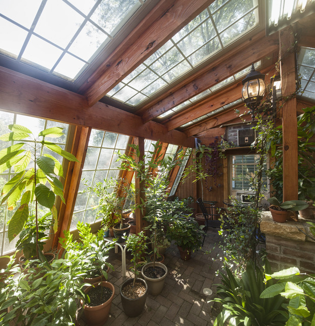 English Country Greenhouse in Cincinnati greenhouse, potted tree by