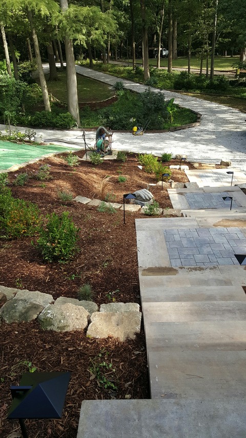 Modern Landscape with mulched garden bed