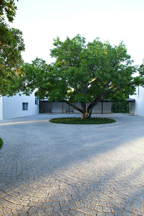 Modern Landscape with circular patterns