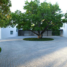 Modern Landscape with circular patterns