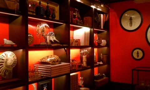 Eclectic Library with dark wood bookshelves