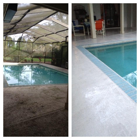 Casual / Comfortable Pool with blue tile pool coping
