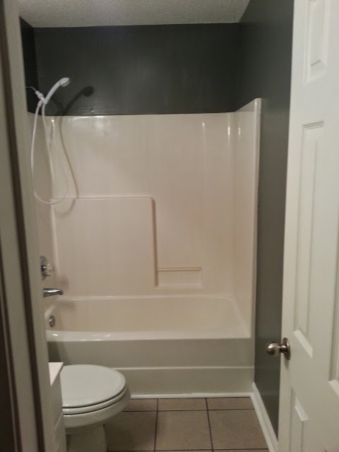 Casual / Comfortable Bathroom with white handheld wall mounted shower