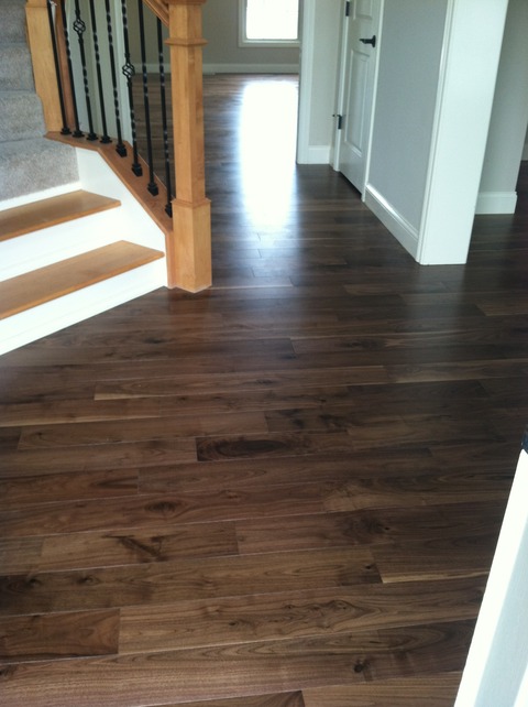 Transitional Entry with walnut stained hardwood floor