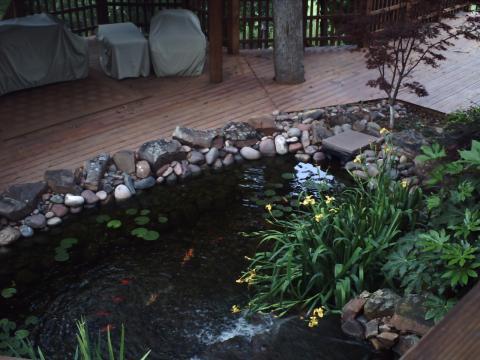 Transitional Landscape with an amazing split level fish pond