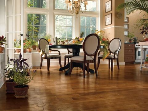 Traditional Dining Room with white trimmed windows
