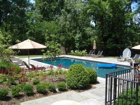 Traditional Pool with large trees around pool