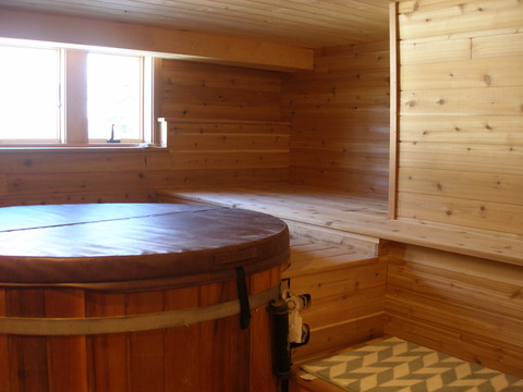 Rustic Pool with wood paneled wall