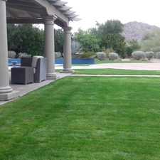 Modern Landscape with tall concrete wall with three slits