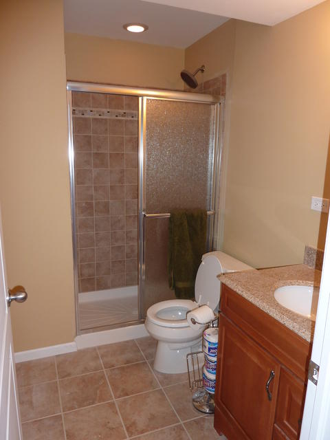 Traditional Basement with chrome framed shower door