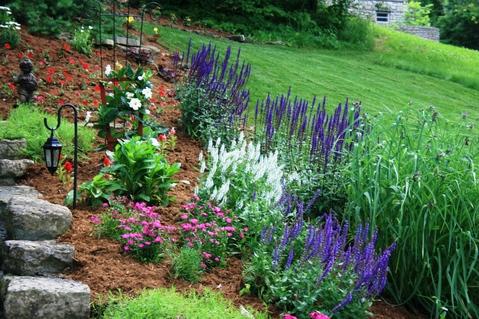 Traditional Landscape with brown mulch landscape