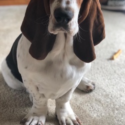 ''