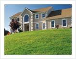 Aerate Lawn