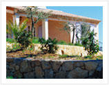 Brick Stone or Block Wall