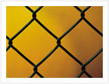 Chain Link Fence