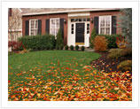 Lawn Care Clean Up