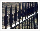 Wrought Iron Fence