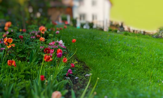 Aspen Lawn & Sprinklers, Inc.