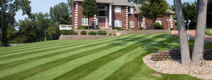 Carolina Green Landscaping and Lawn Care, Inc.