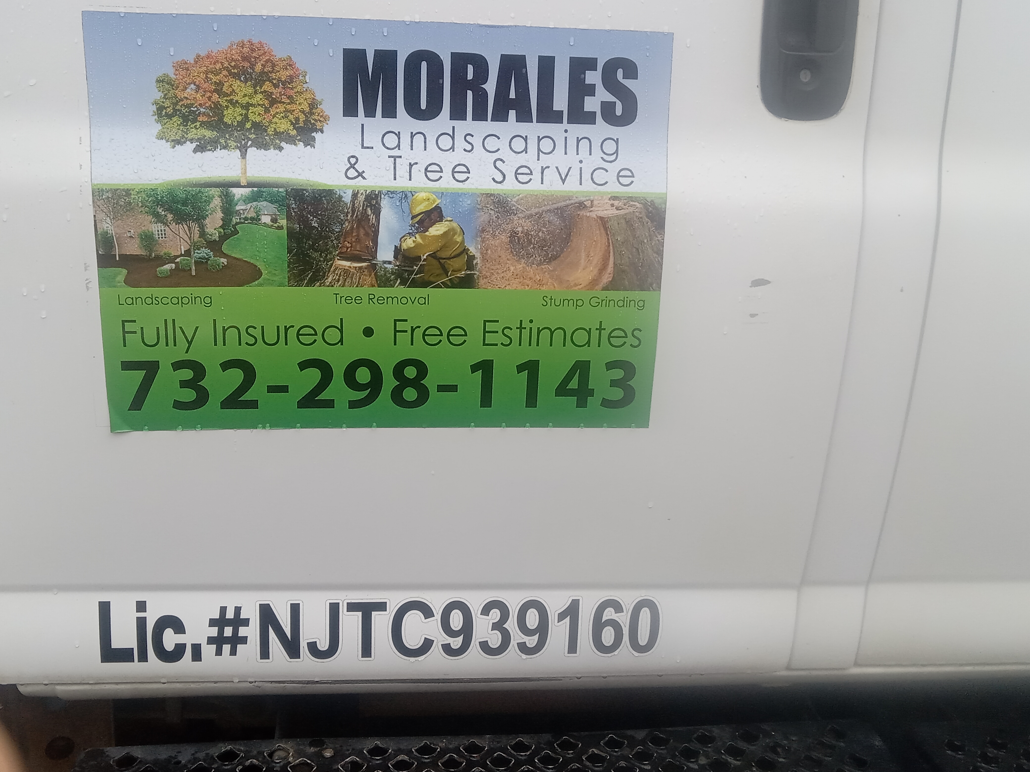 Morales Landscaping Tree Services, LLC Logo