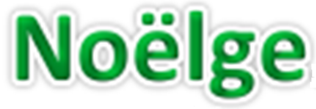Noelge Corporation Logo