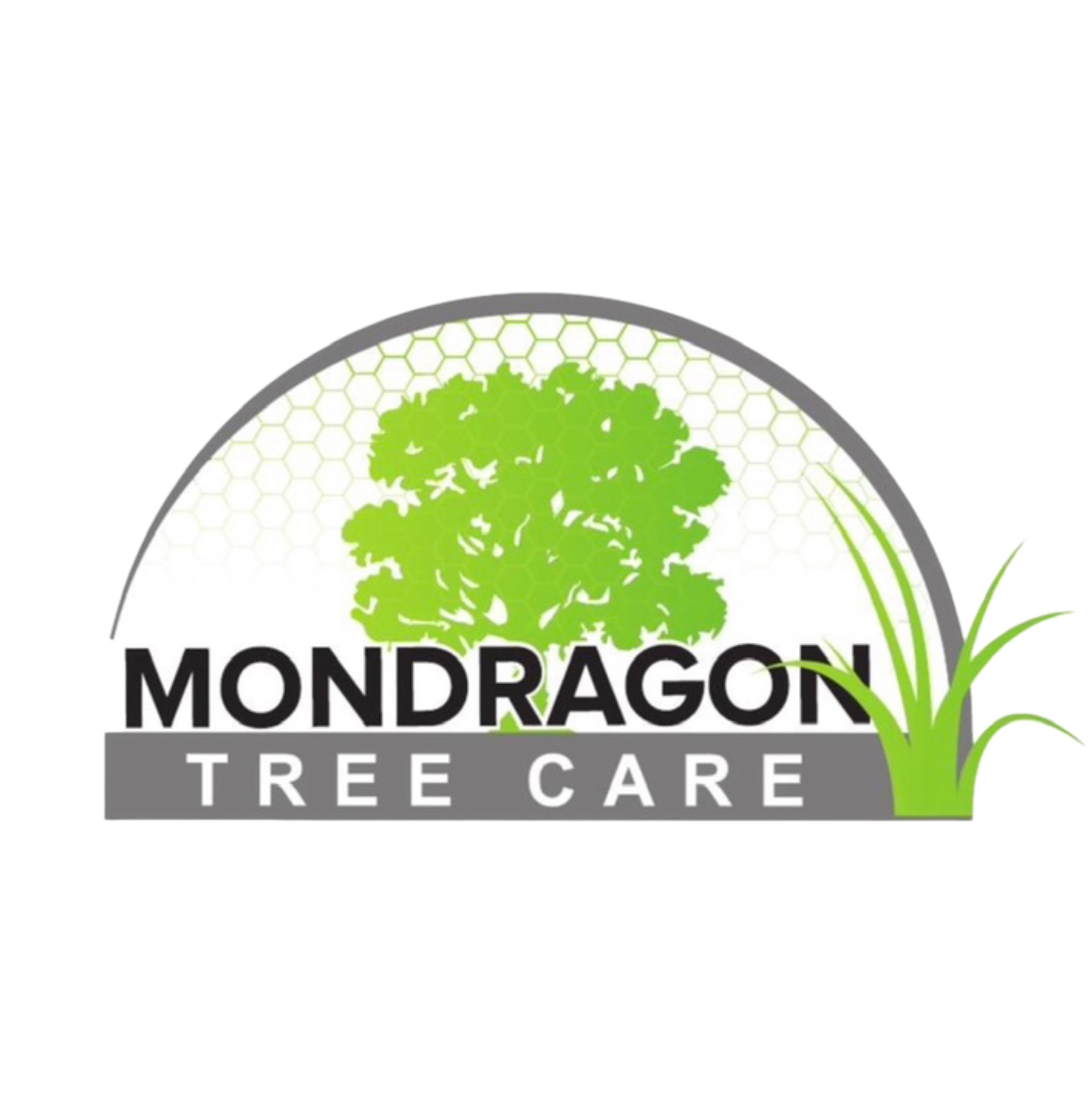 Mondragon Tree Care, LLC Logo
